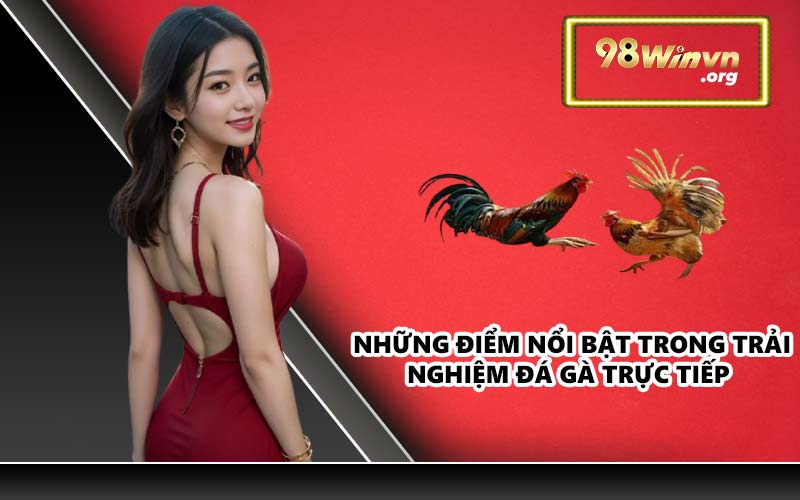 Những điểm nổi bật trong trải nghiệm đá gà trực tiếp